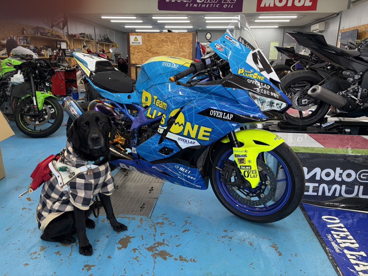 よっし44 (@yossi44044) / Posts / X