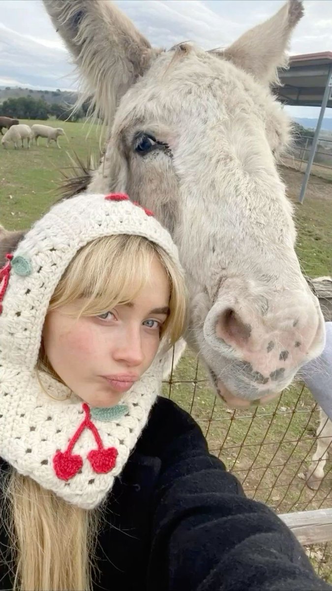 ◟♯ . / Juniper . ! ּ꩜ tweet media