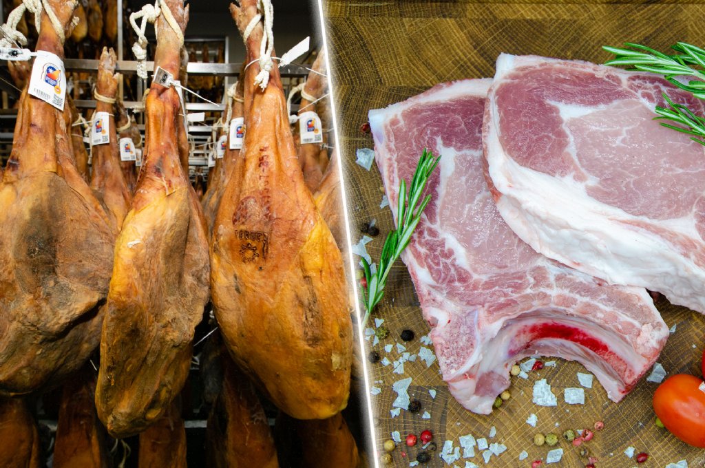 International Ham Institute tweet media