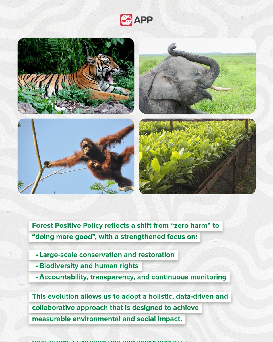 APPGroup_ID's tweet image. Sustainability is a journey. 

Through our Forest Positive Policy, we move beyond “zero harm” driving large-scale conservation, protecting biodiversity and human rights, and delivering measurable impact. 

🌱 Learn more:
 app.co.id/regenesis 

#Regenesis #Sustainability