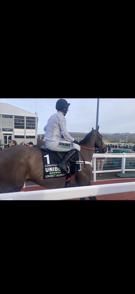 All roads lead to Southwell, then to Cheltenham for this one baby… <a href="/racingblogger/">Stephen R Power</a>?? The festival needs him #ConstitutionHill