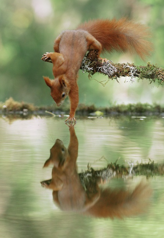 The Postcard Store tweet media