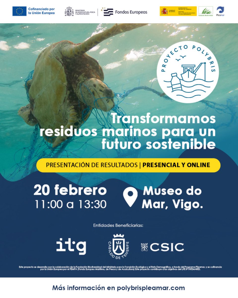 PolybrisPleamar tweet media