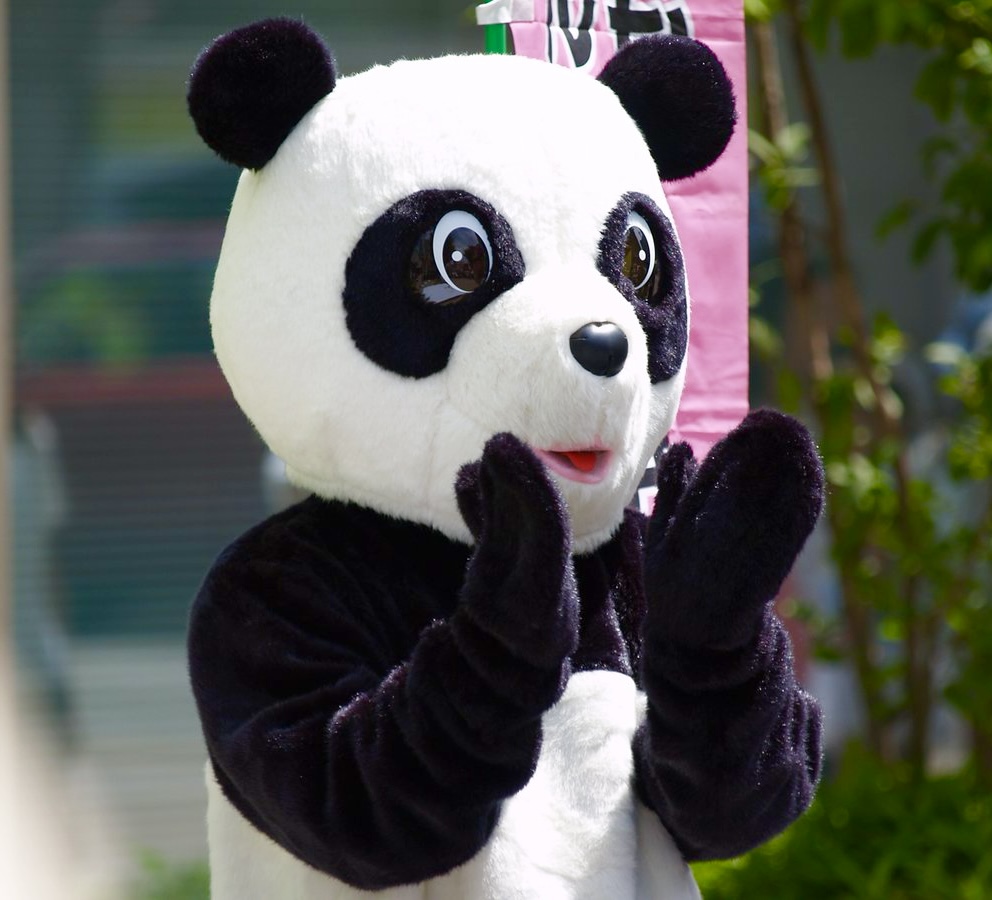 HBmEvHLa0AAkLSY.jpg?format=jpg