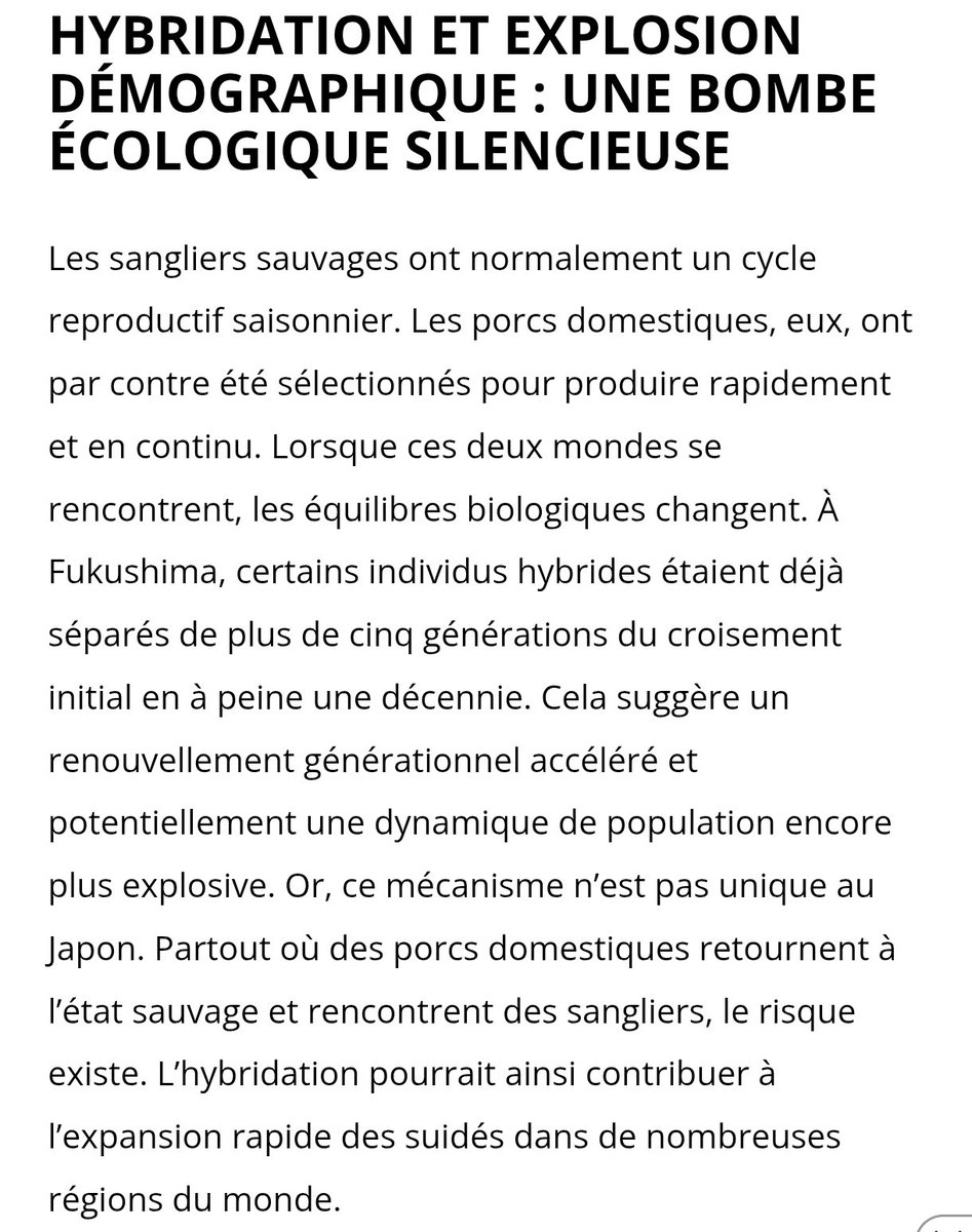 Someonesentient's tweet photo. Mais d'où peut bien provenir cet extrait d'un article ? D'un site anti-chasse ? 🤔
Ah non....
Bizarre tout de même de ne pas faire de liens avec sa propre histoire.
Ce niveau de déni...
#StopChasse
#stopcarnage
#ChasseAbolition
#pompierpyromane
https://t.co/etvk4vnjJl https://t.co/FjmcXWj7aO