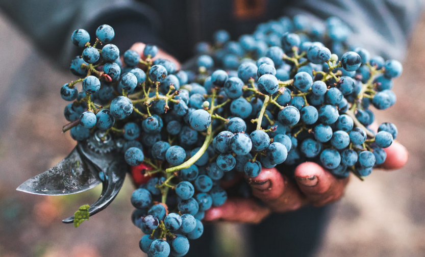 Mariusz Kapczyński tweet media
