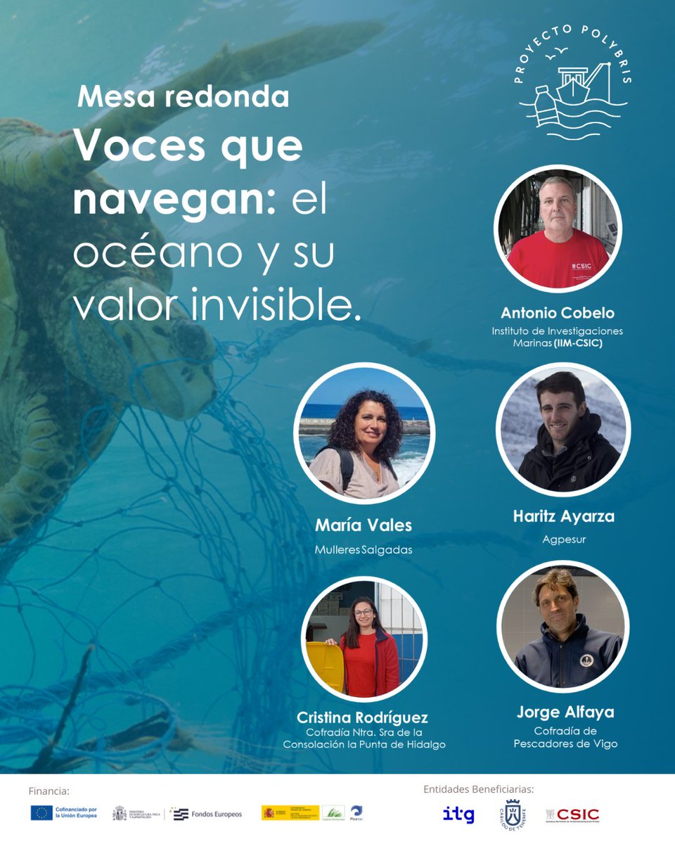 PolybrisPleamar tweet media