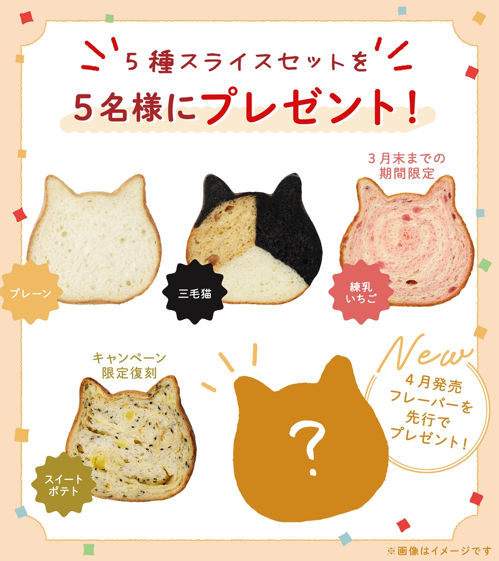ねこねこ食パン【公式】 tweet media