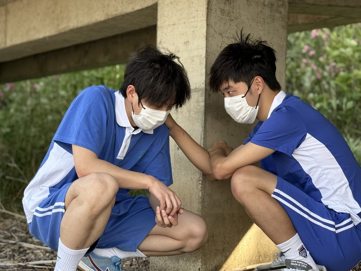 小羊不🐑 tweet media