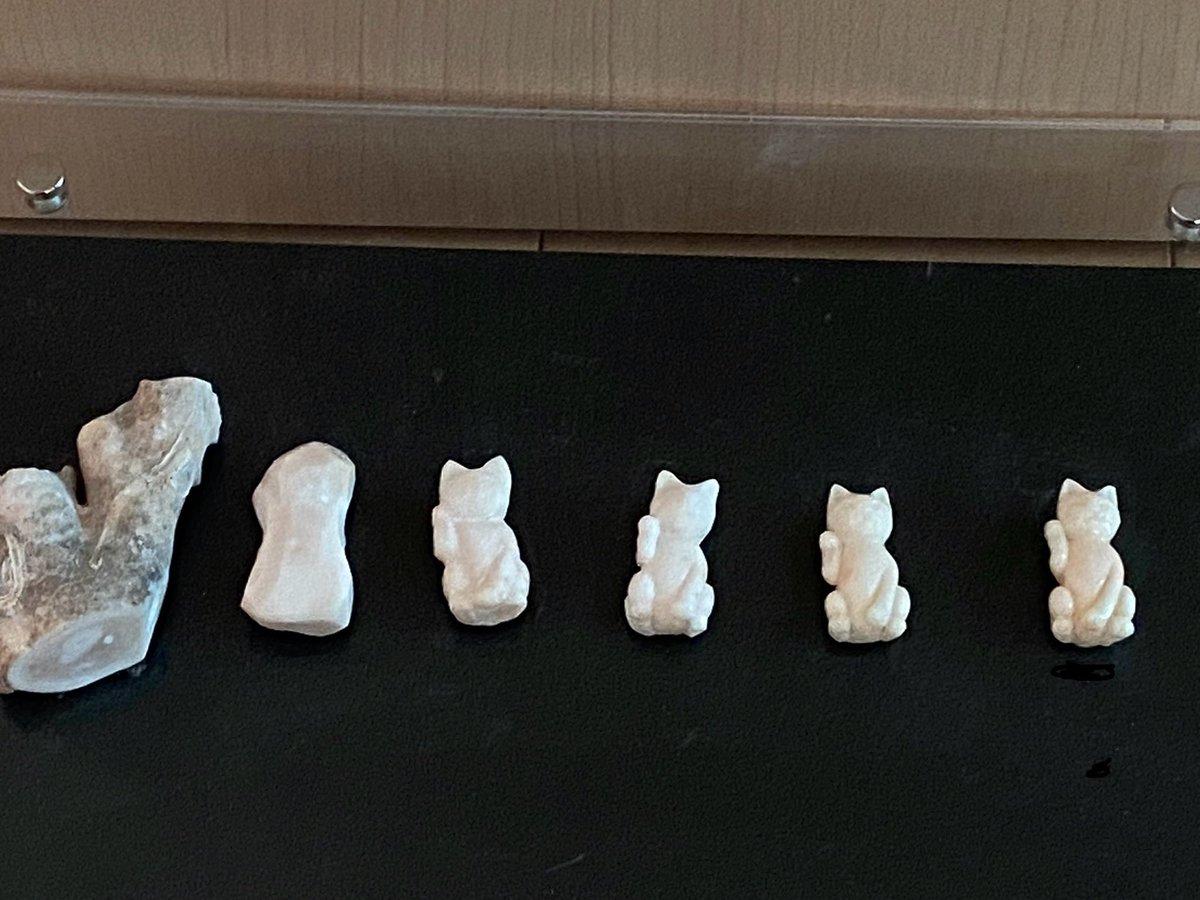 25歳のとき、家業の珊瑚職人になって間もない頃。 百貨店での実演販売