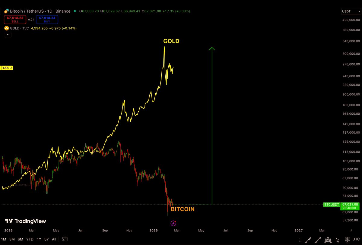 Money Ape tweet media