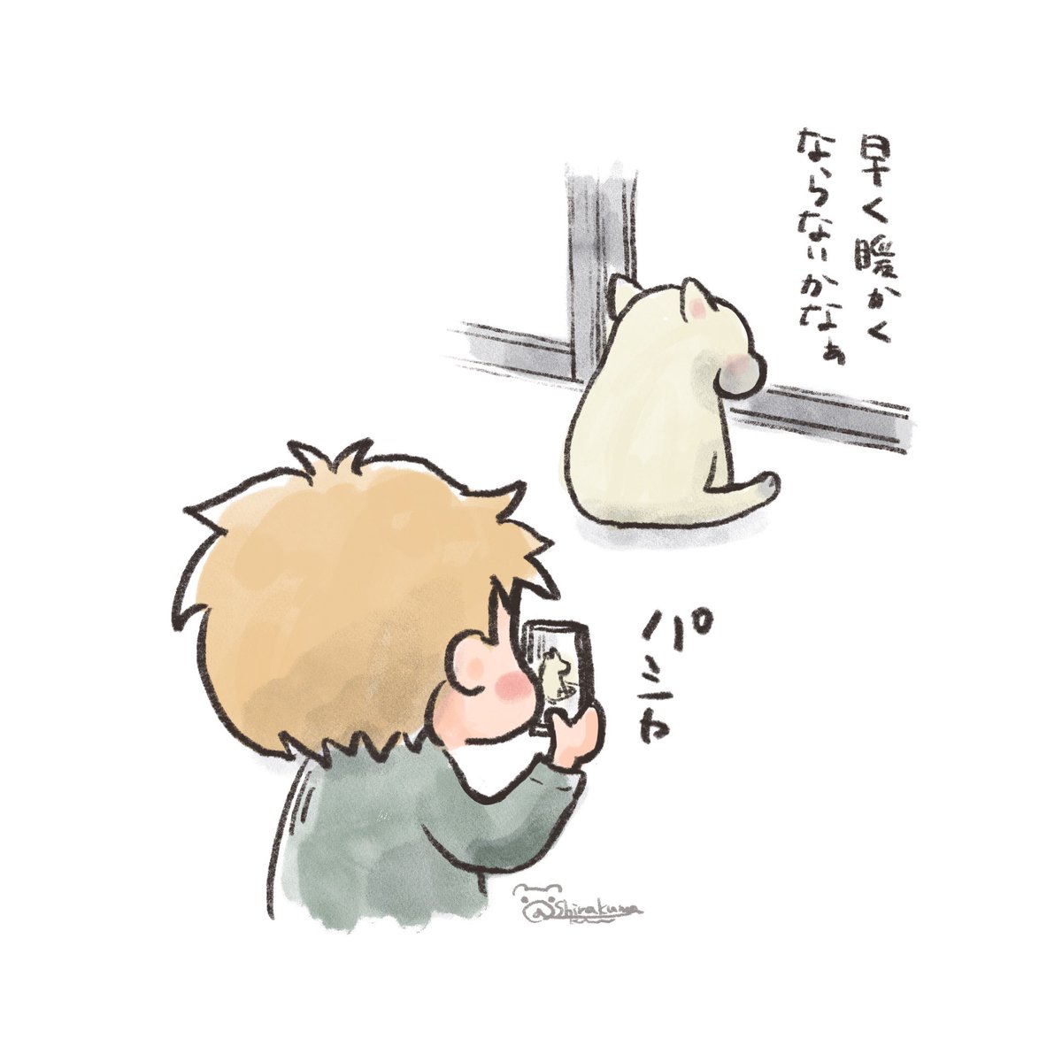 シラクマ tweet media