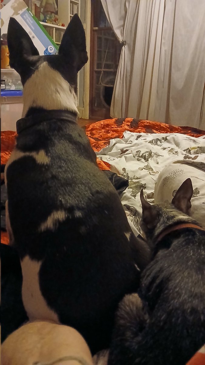 scubastackpool tweet media