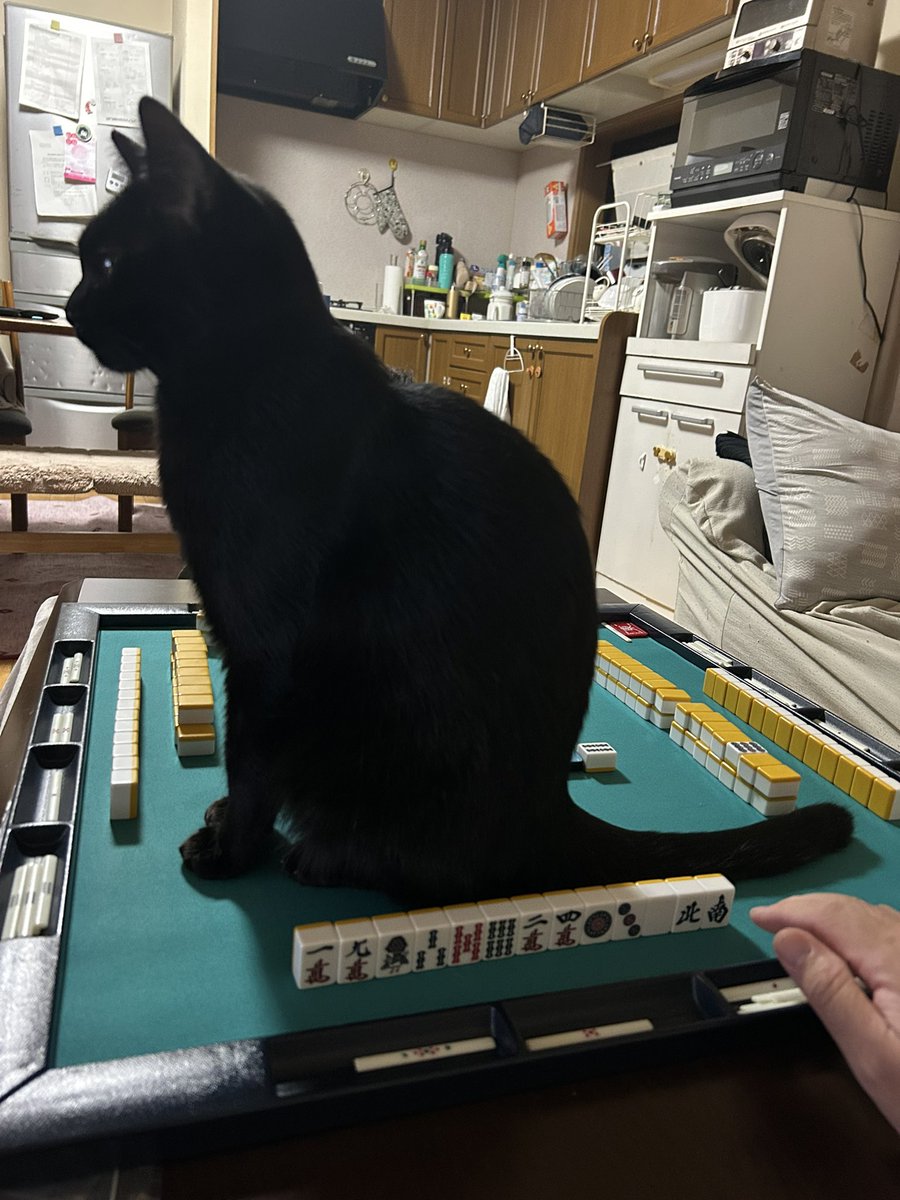 黄昏なすたん tweet media