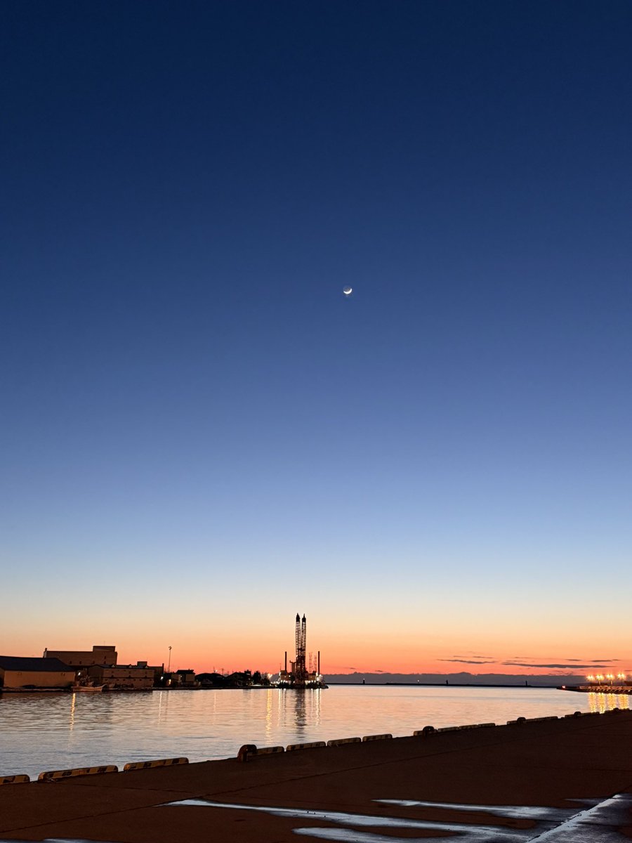 木村琴絵 tweet media