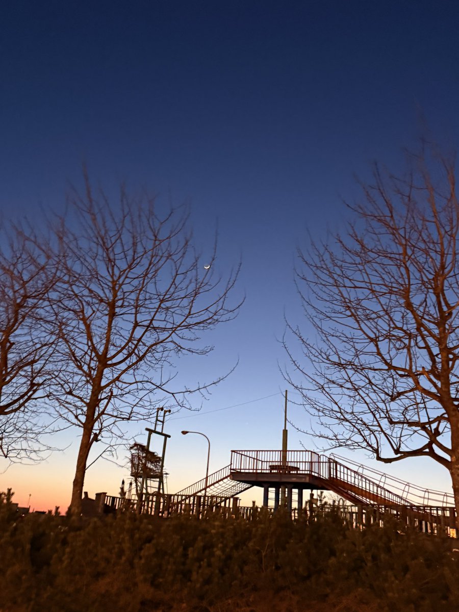 木村琴絵 tweet media