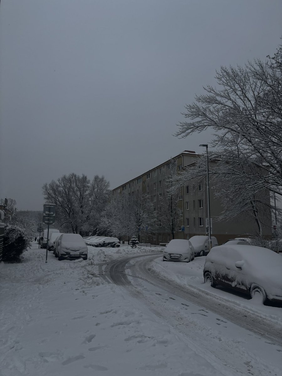 lubi | 🇸🇰🇸🇰🇸🇰 tweet media