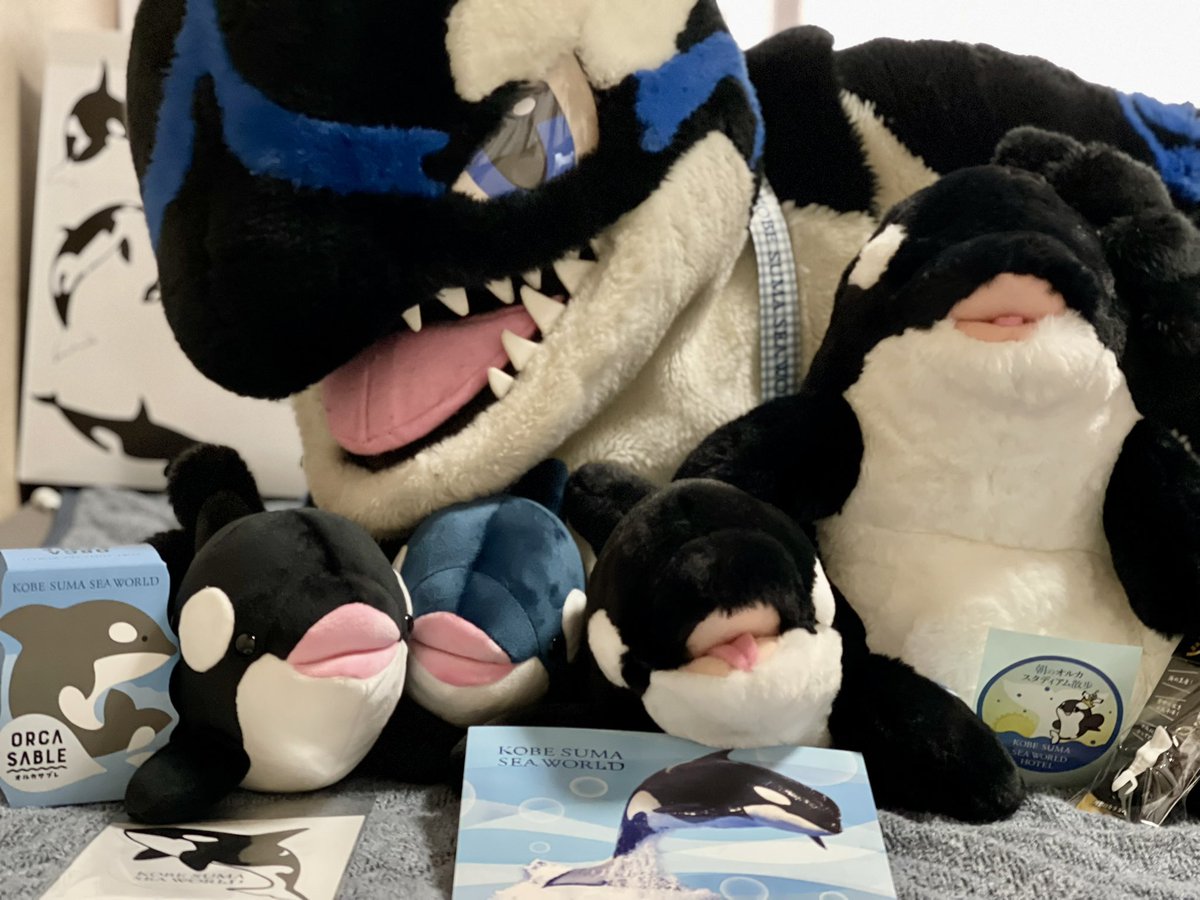 すくりゅー・瑞波 tweet media