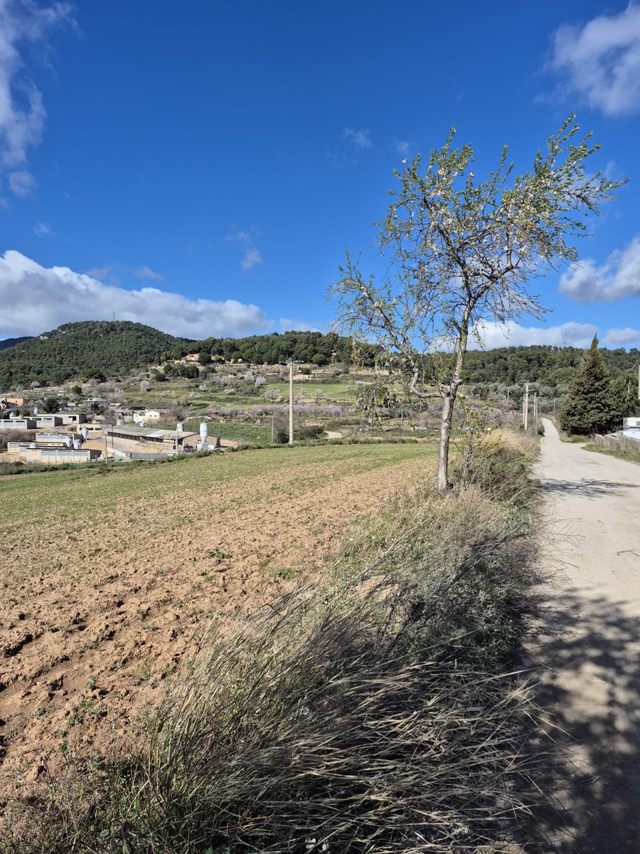 Policia Local de Sant Feliu de Codines tweet media