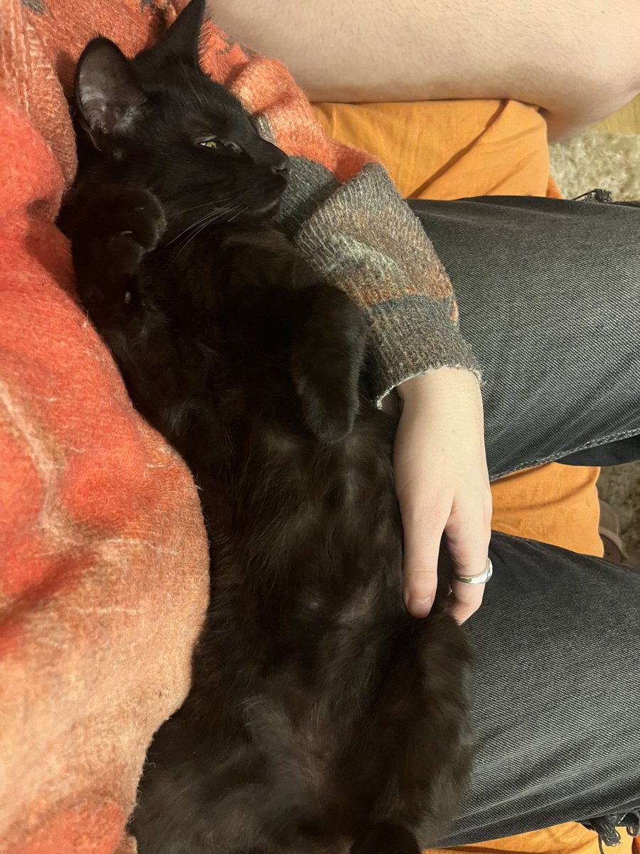 m🏳️🌈 (floreta’s fan account💘) tweet media