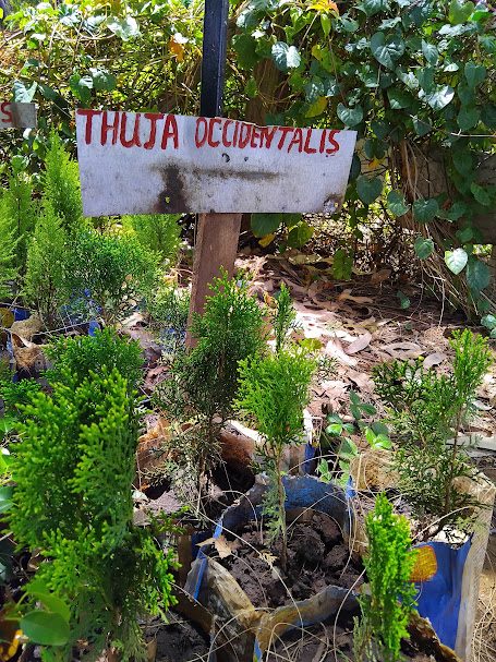 Friends of Mau Watershed (FOMAWA) tweet media