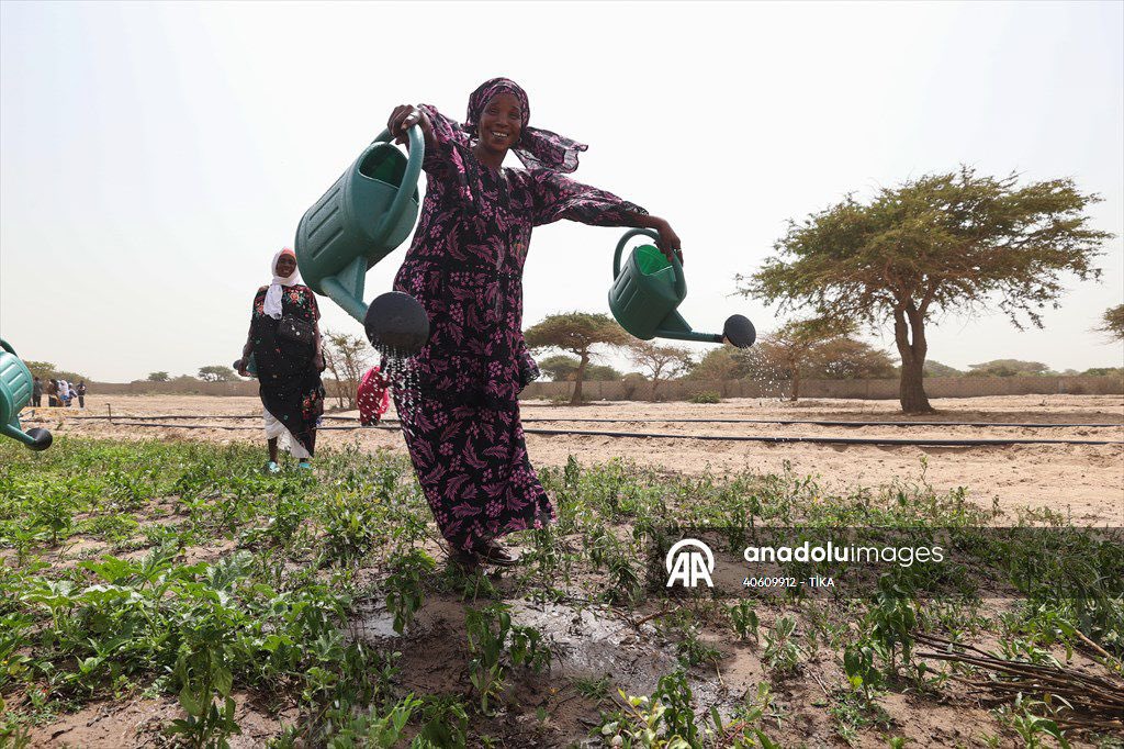 merhabafrika's tweet photo. Türk İşbirliği ve Koordinasyon Ajansı (TİKA), #Senegal'de Batı Afrika Kadınlar Derneği (AFAO) işbirliğinde, 5 kadın kooperatifinin kullanımı için 3 hektarlık sebze meyve bahçesi kurdu.

3 hektarlık alanda kurulan tarım arazisi, güneş enerjisi sistemiyle çalışan su kuyusu, modern sulama sistemleri ve gerekli tarım ekipmanlarıyla donatıldı.

Doğrudan 200'den fazla kadına istihdam sağlayacak projeye ilişkin düzenlenen törene TİKA Dakar Koordinatörü Tanju Polat, AFAO Direktörü Khady Fall Tall ve kadın kooperatiflerinin temsilcileri katıldı.

Polat, proje ile Senegal'in üretim ve gıda güvenliği kapasitesinin artırılmasının hedeflendiğini, bunun yanı sıra bölgesel kalkınmayı da desteklediklerini dile getirdi. 

@TanjuPOLAT1074 
@Tika_Turkiye 
#AA