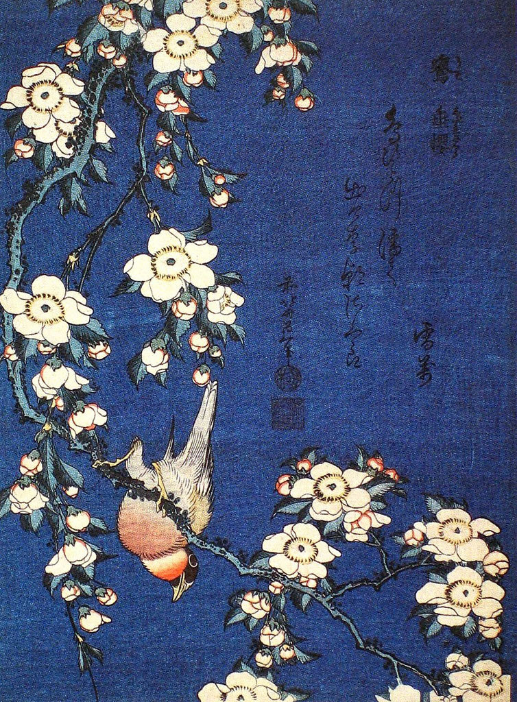 Hokusai Katsushika / Bullfinch and Weeping Cherry Blossoms / 1834