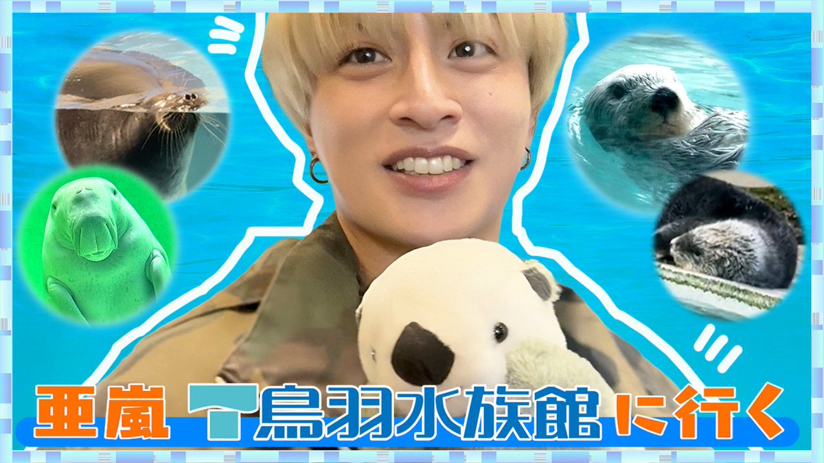CL_OFFICIAL_ACC's tweet image. 本日21日19時配信📺
【#じぇねさんぽ】亜嵐、鳥羽水族館に行く🐠

#GENERATIONS 亜嵐が
ついに念願の鳥羽水族館へ🪸

日本でここでだけの
ラッコやジュゴンに出会い
三重公演前とは思えないほど
テンションMAX🫧

思いきり楽しむ亜嵐と、
飼育種類数日本一を誇る
#鳥羽水族館 の魅力をご覧ください✨