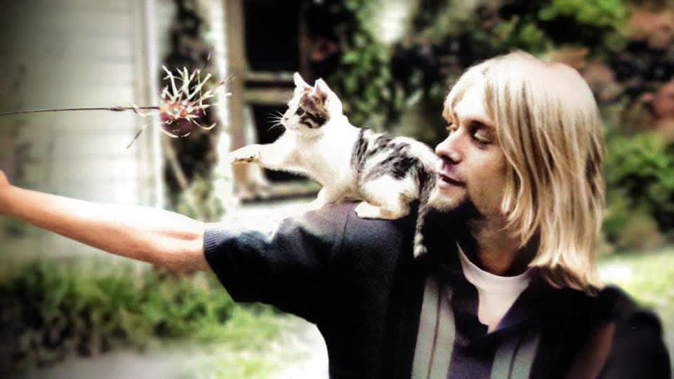 paolabest64's tweet photo. 📌 IL Compleanno di #KurtCobain🌹🎸🐈
  🌟del #Club27 🌟 Reinterpretazione di un brano del 1970 di #DavidBowie 🌌
         ~~~~
https://t.co/eeSeCy9dwy https://t.co/0SxVrQh5wZ