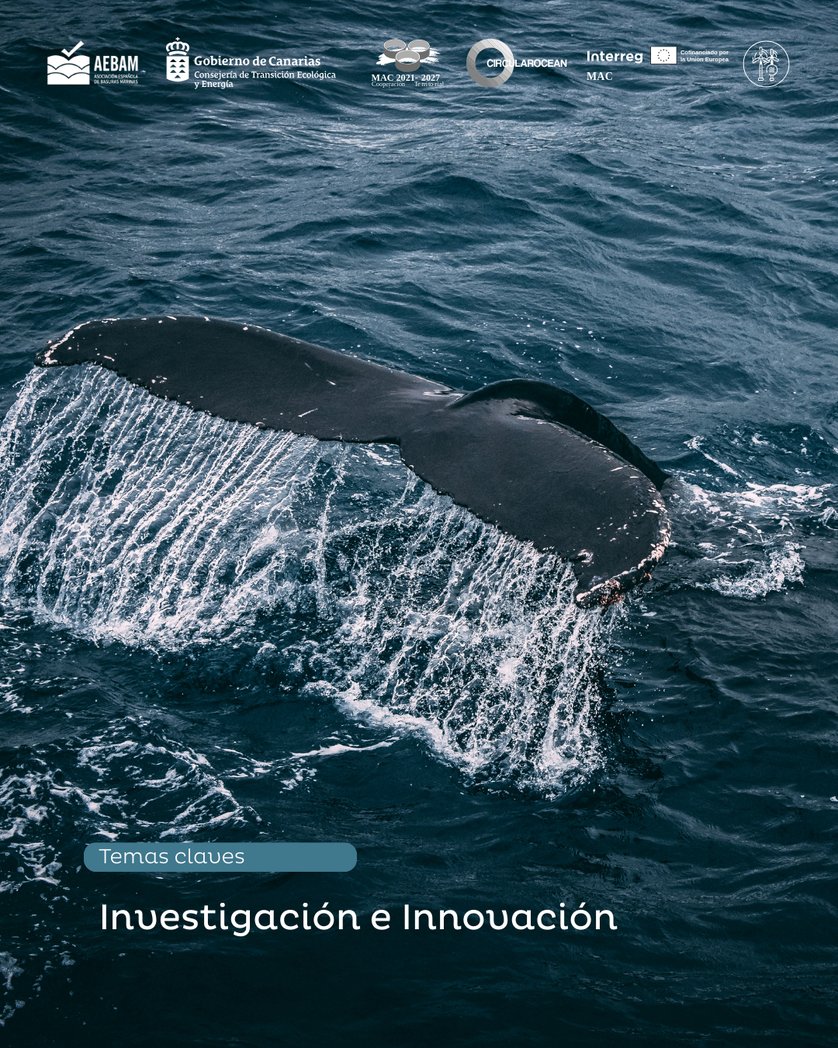 AEBAM Basuras Marinas tweet media