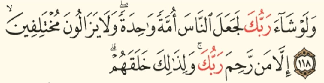 يوسف الكمالي tweet media