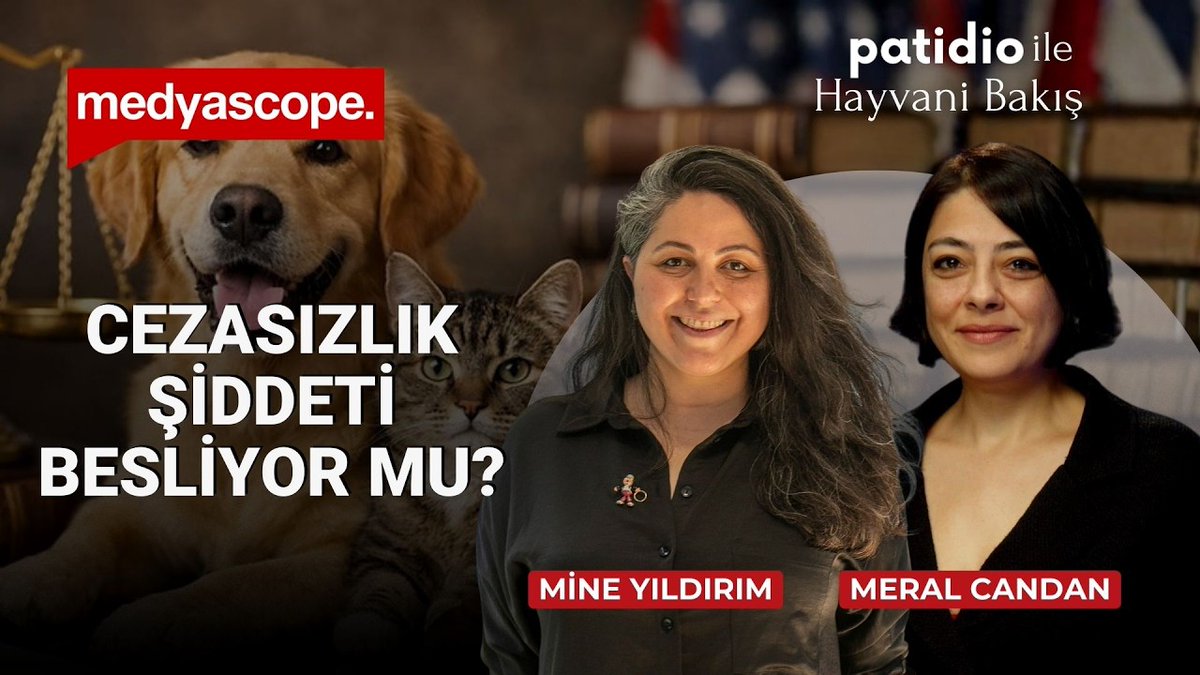 🔴 Hayvana şiddet toplumsal şiddeti artırır mı?

💬 Meral Candan soruyor, Mine Yıldırım anlatıyor

⏰ Patidio ile Hayvani Bakış yarın 15:00’te Medyascope’ta. Üyelere özel şimdi yayında 🎉

🔗 youtu.be/_B0fIbnPjk0

<a href="/meralgibicandan/">Meral Candan</a> | <a href="/yildmine/">Mine Yıldırım</a>