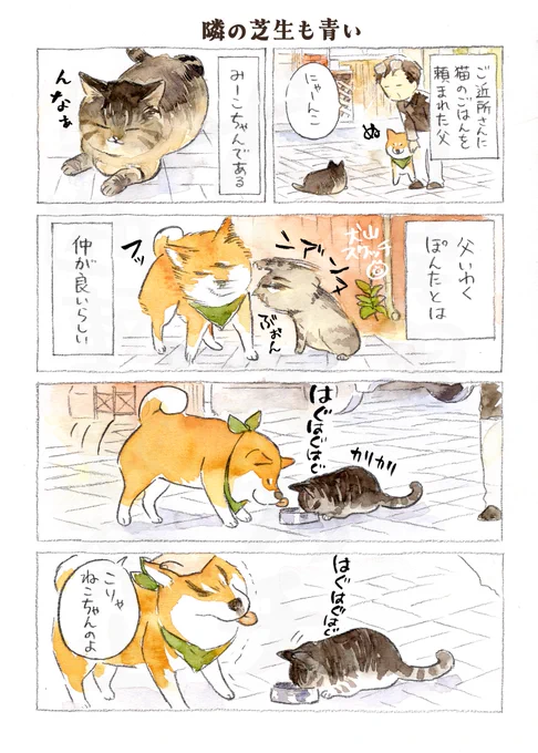 (6/6) 