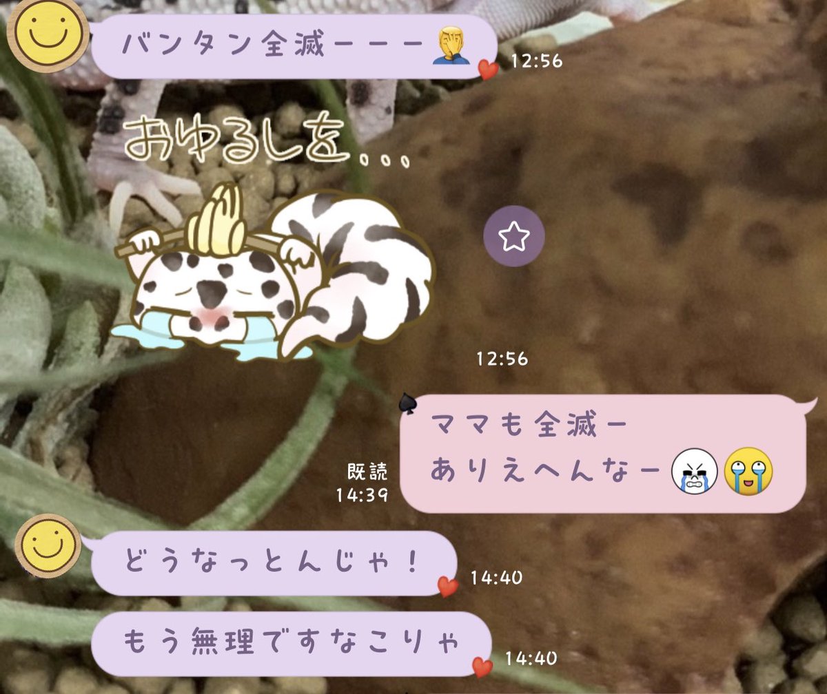 kei_days's tweet photo. 当たる気がもうしなくなった....
と言いつつグローバル申し込み完了
最後まであがいてみる😇

次男とのLINE🤣 https://t.co/9bATB97Hbg