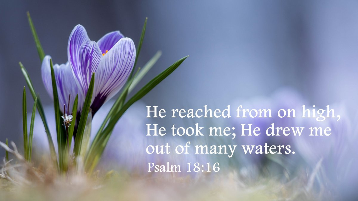 BIBLE LINE ～ バイブルライン (@bible_line) / Posts / X