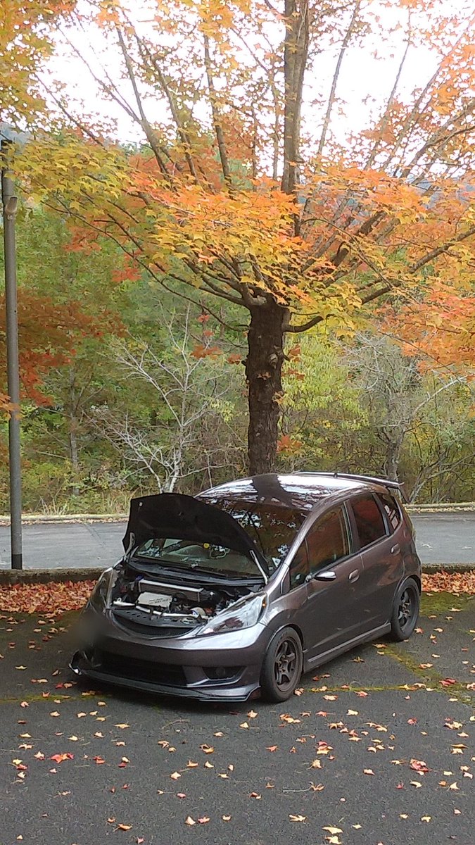 ｱﾌﾞﾉｰﾏﾙ石井(ﾌﾞｰｽﾄ依存症) tweet media