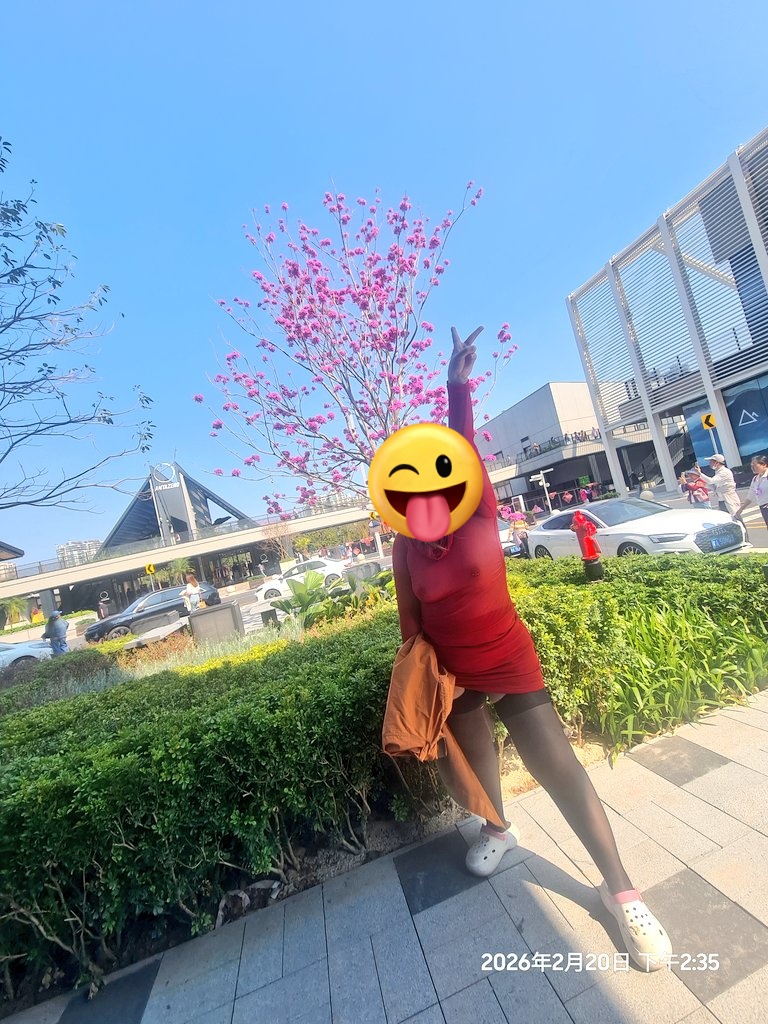 好求其 020夫妻 tweet media