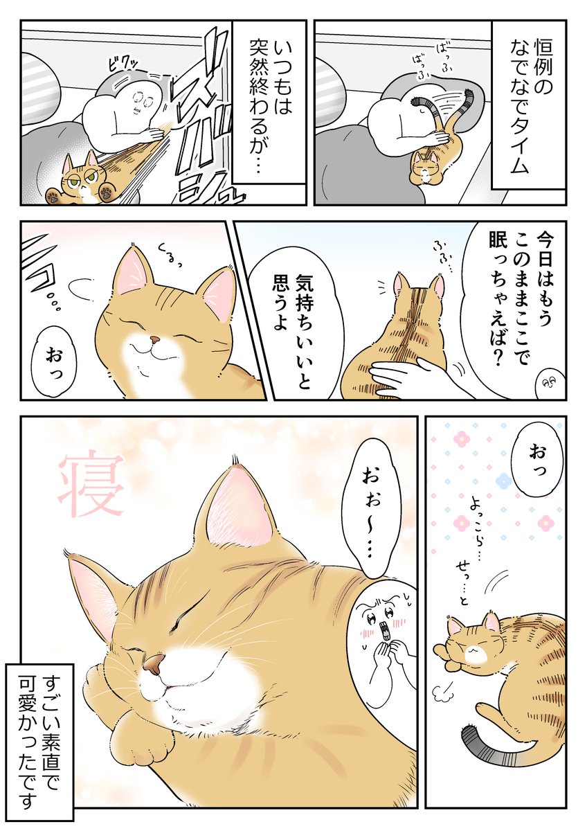 愛猫ち～ちゃんが近くで寝るようになった日の話 