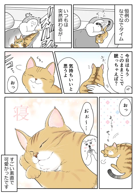 愛猫ち～ちゃんが近くで寝るようになった日の話 