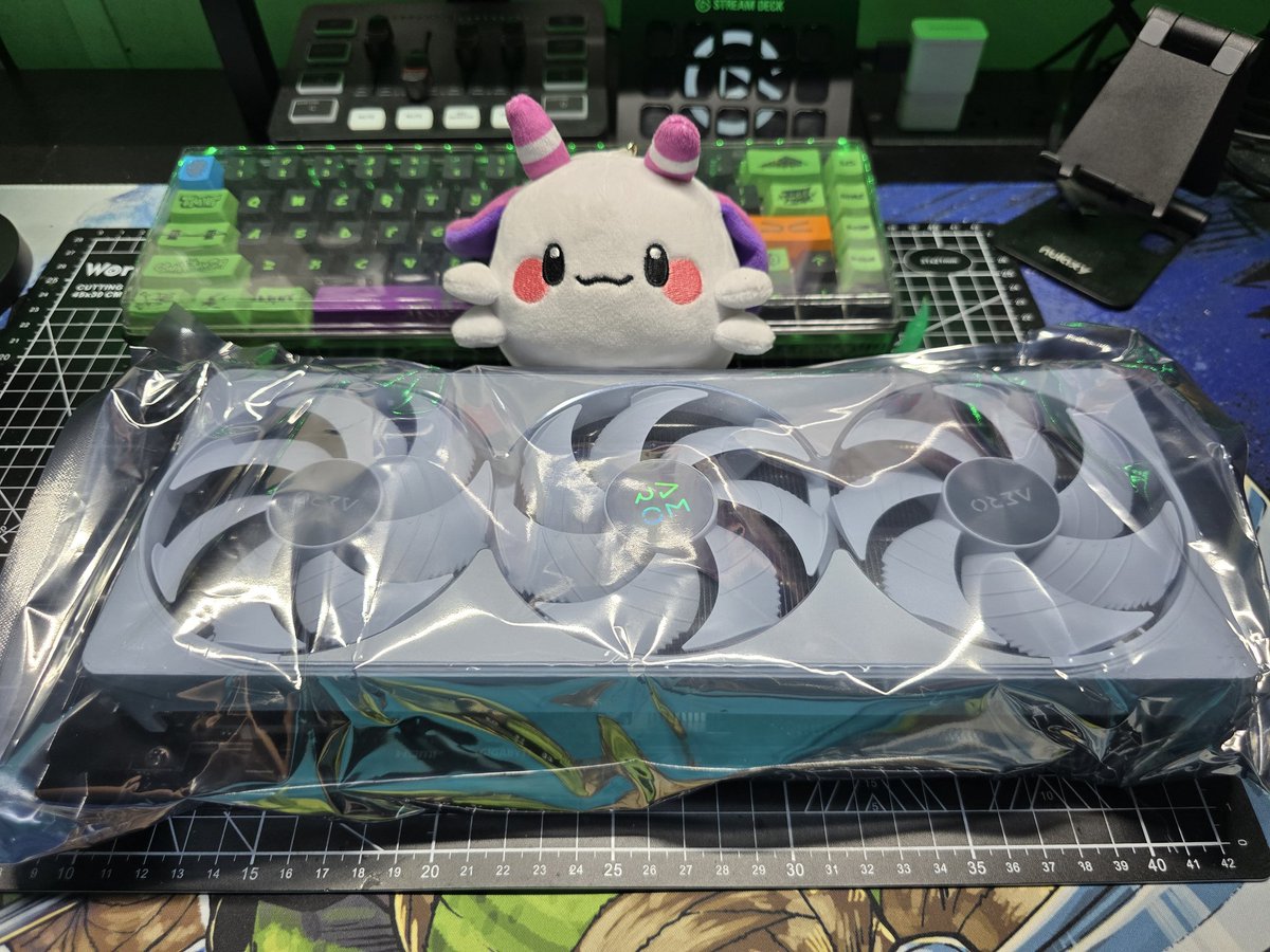 🐢 DasViTurtle 🐢 tweet media