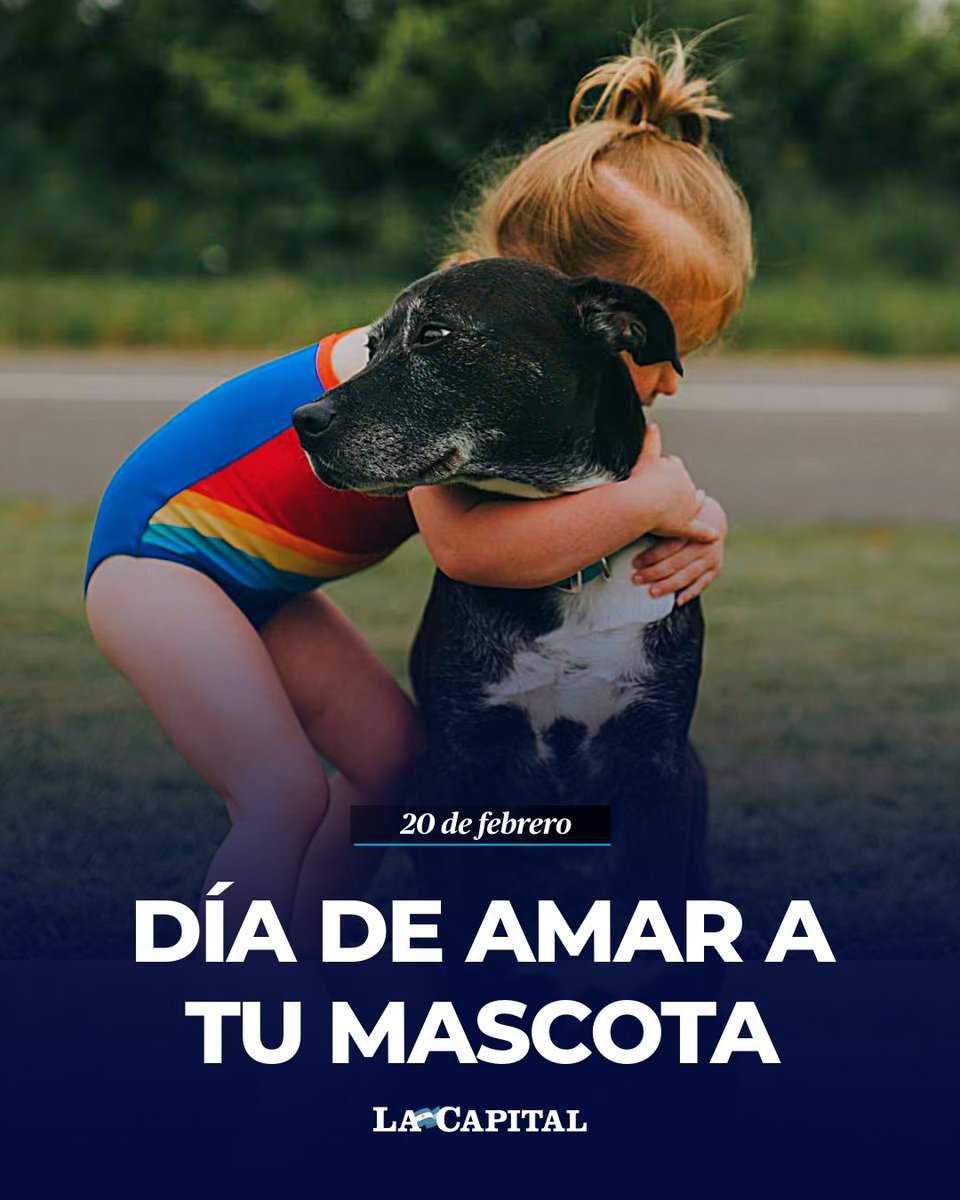 💗🐾 DÍA DE AMAR A TU MASCOTA

Cada 20 de febrero se celebra el Día Mundial de Amar a Tu Mascota, una fecha que pone en agenda ese amor silencioso que atraviesa años, mudanzas, alegrías y momentos difíciles. Más que una celebración simbólica, la jornada busca promover la tenencia