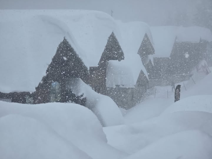 weathertoski tweet media