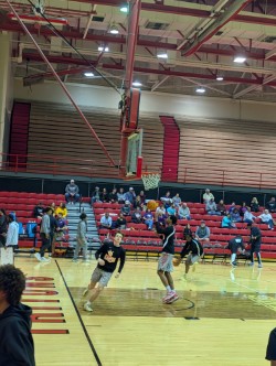 UMSL International Students tweet media