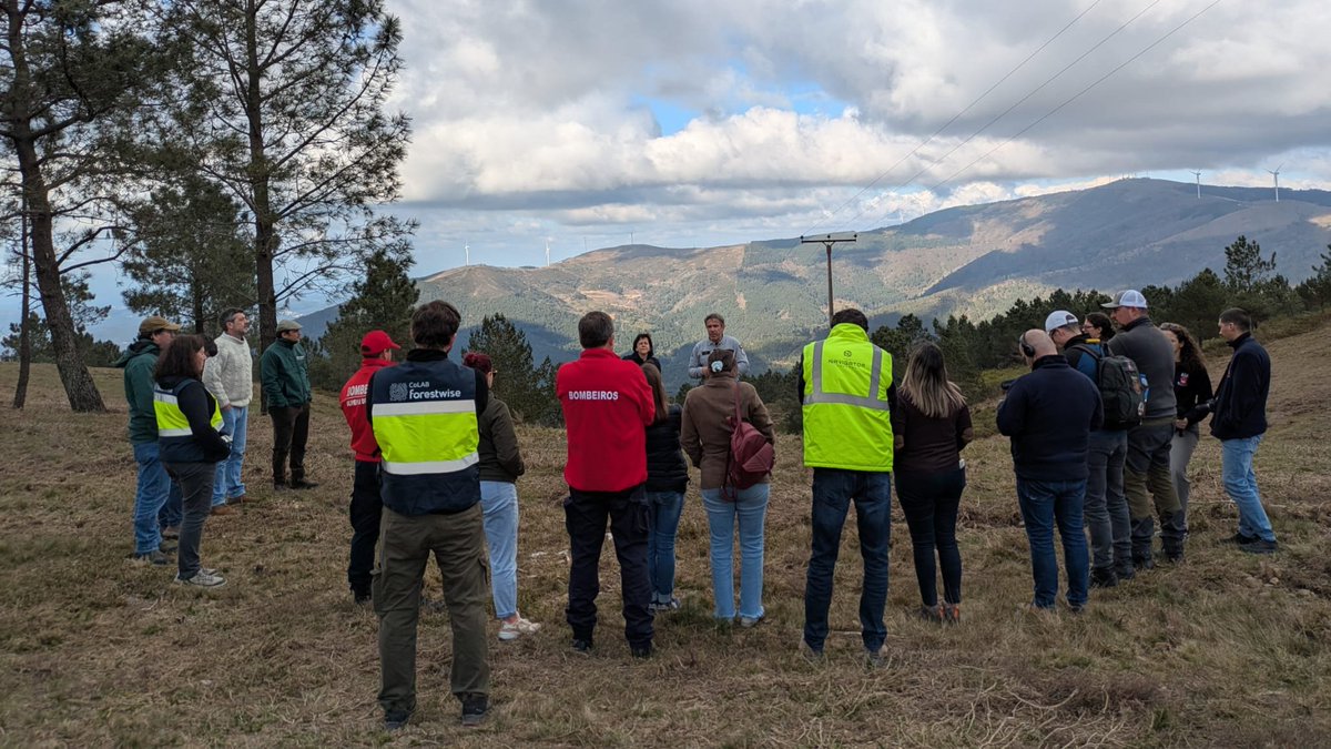 CoLAB ForestWISE tweet media