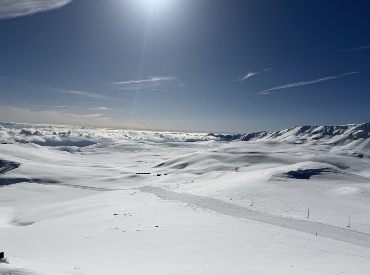 Luigi Marattin tweet media