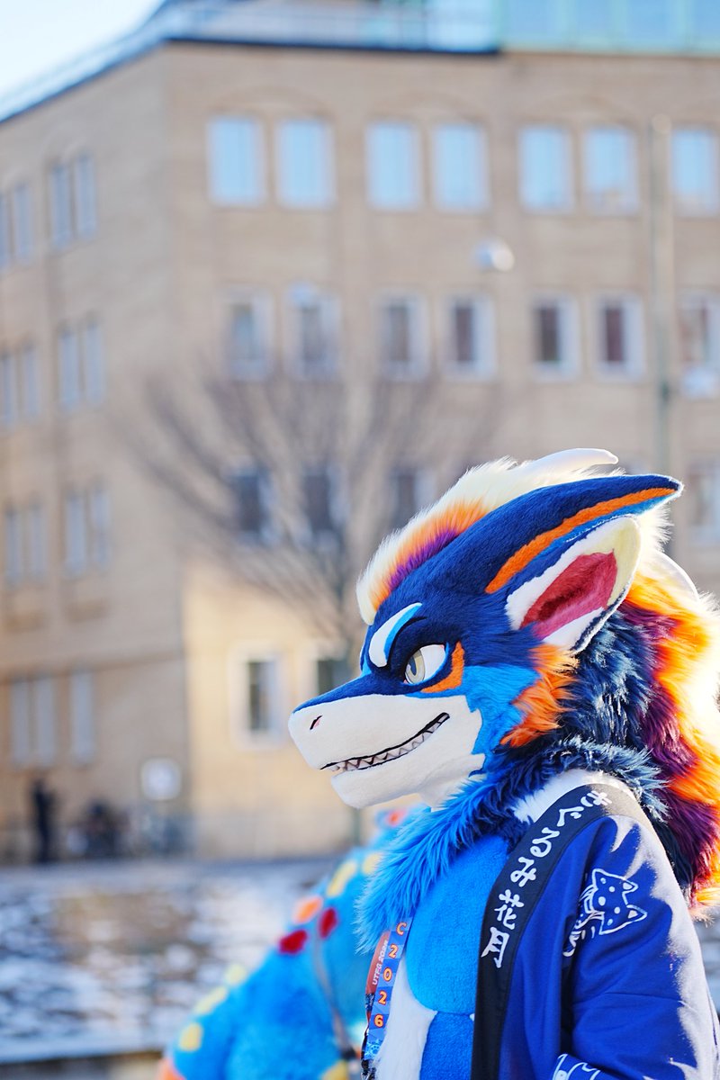 ☀️🐉Teryx 🔜 Thaitails tweet media