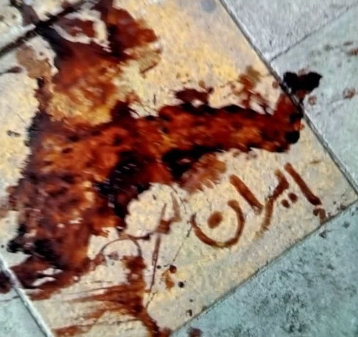 𝕯𝖆𝖛𝖎𝖓𝖈𝖍𝖎 l ᴋᴀᴛᴀɴᴀ🇮🇷 tweet media