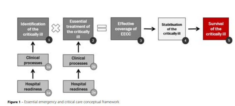 wfsaorg's tweet photo. 🚑From operating theatres to system-wide emergency response
This #UpdateInAnaesthesia article highlights the role of EECC in standardising identification, stabilisation and treatment of critically ill patients worldwide.
Read here: https://t.co/6TGiKD3RB2
Explore UIA Vol 41: https://t.co/Yighu0hJii