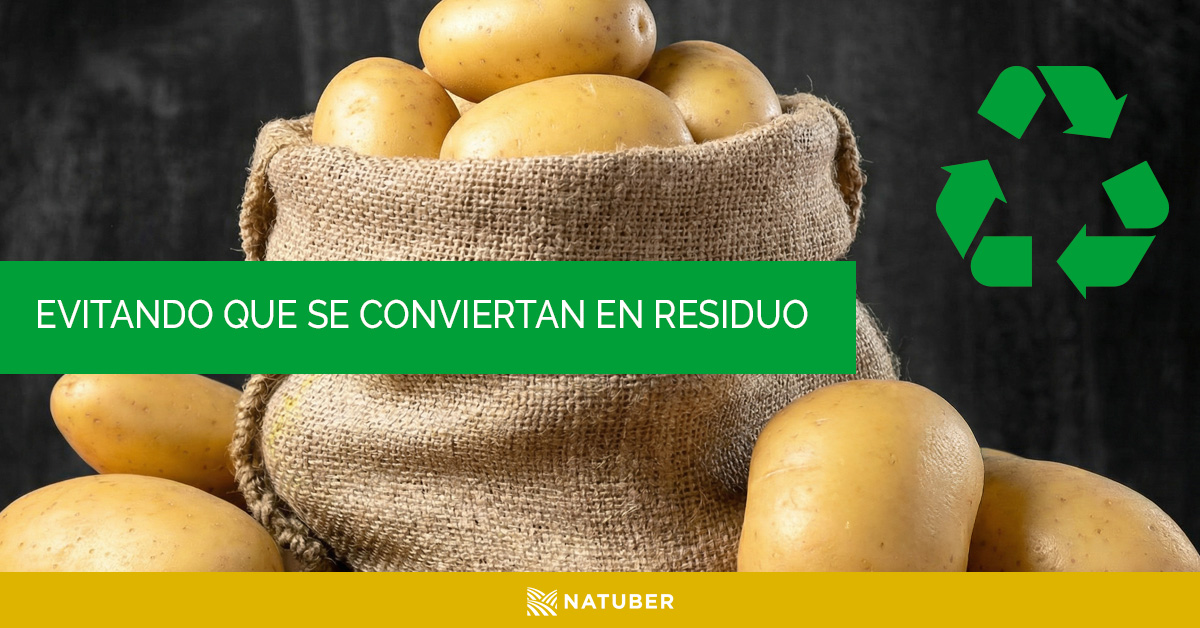 hijolusa's tweet photo. En Natuber aprovechamos los restos de patata que no se destinan al consumo humano para alimentar animales, evitando que se conviertan en residuo.
#SomosHijolusa #Natuber #Aprovechamiento https://t.co/Pxt5Ap6bmi