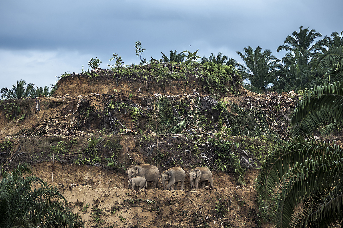 Gasometer Oberhausen tweet media